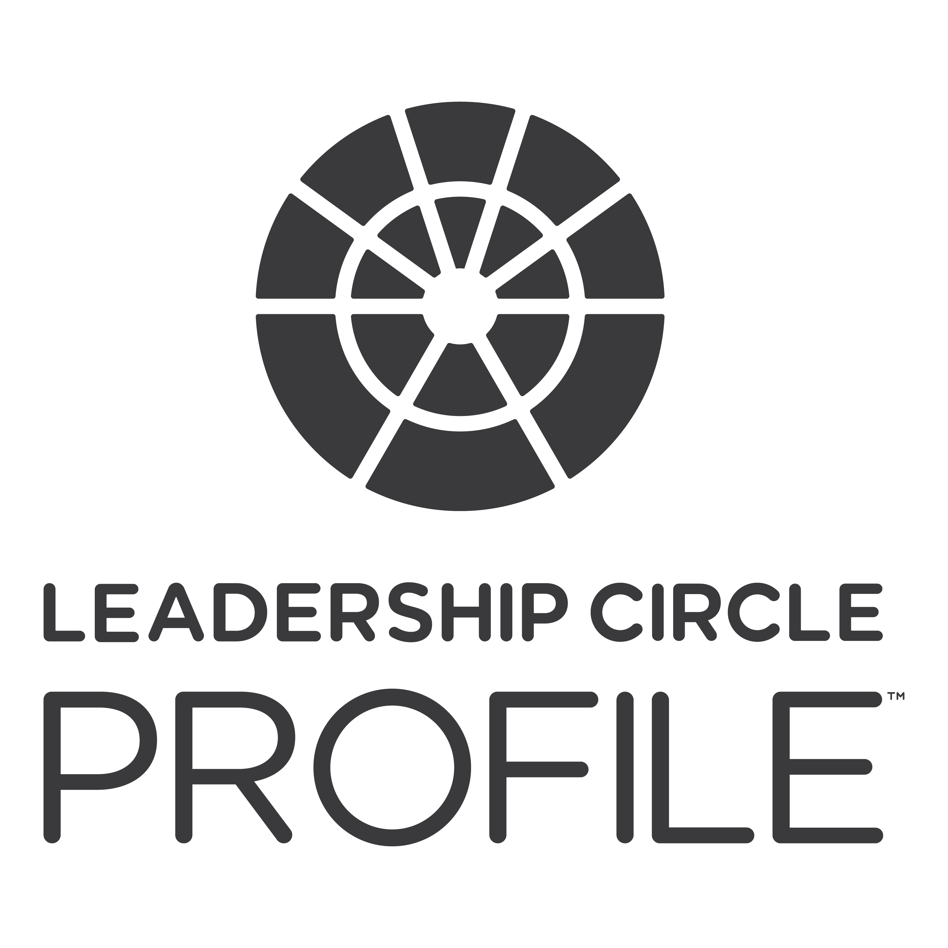 Logo von Leadership Circle Profile Logo LCP